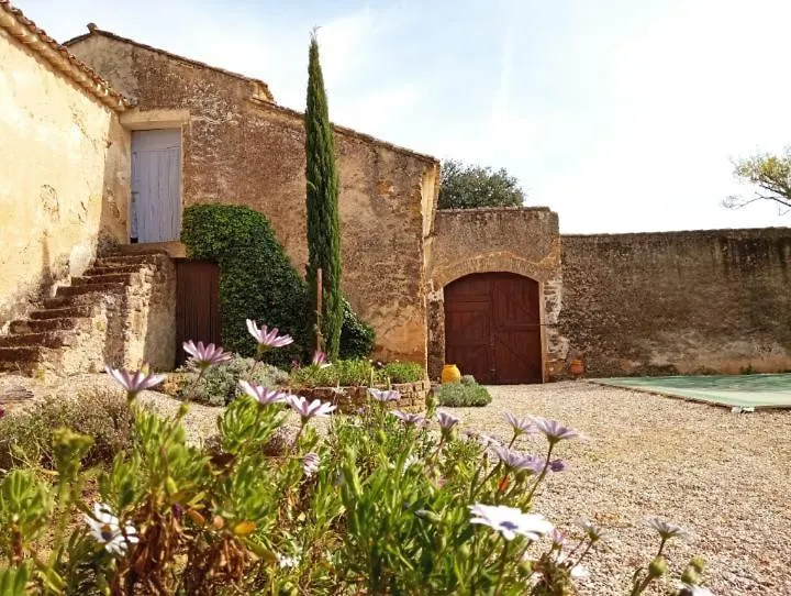 Le Rocan Roux Aubignan